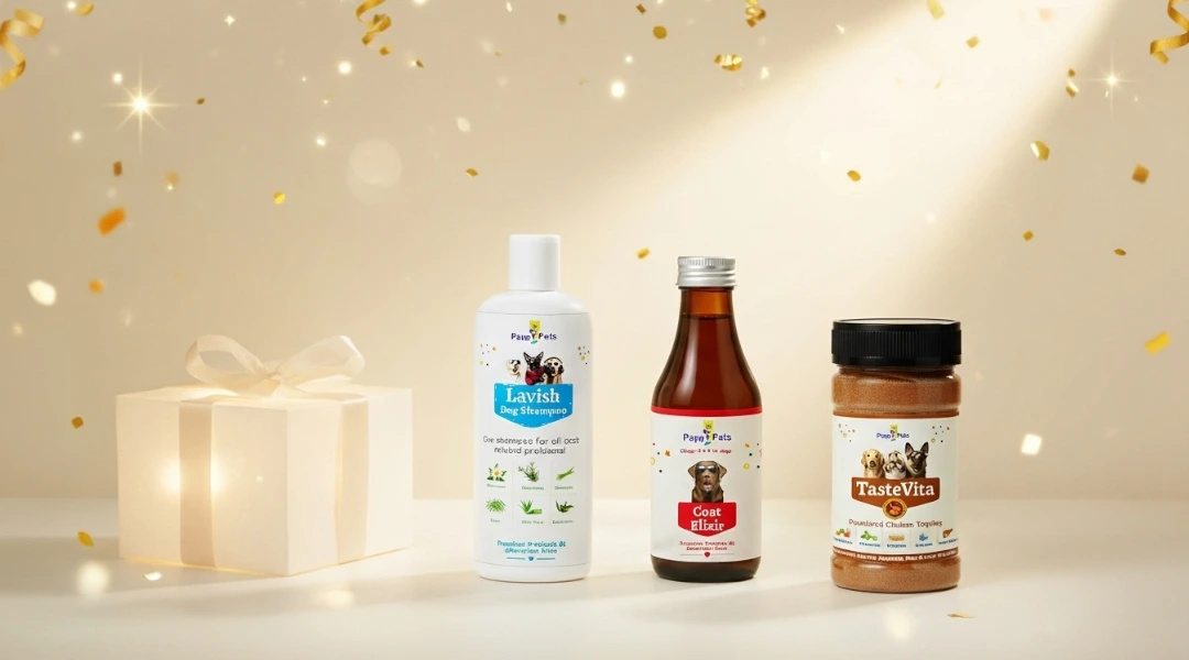 Exclusive Offer Background